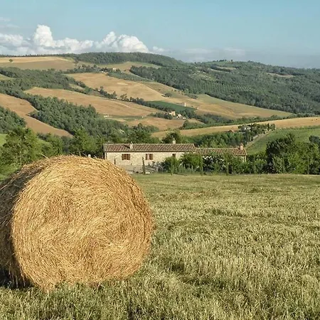 Apartment Il Mandorlo Fuer 8 Personen By Interhome