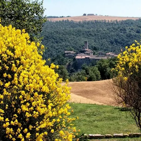 Apartament Il Mandorlo Fuer 8 Personen By Interhome San Venanzo