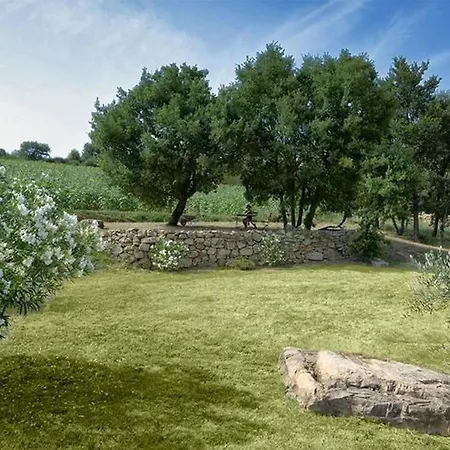 Il Mandorlo Fuer 8 Personen By Interhome San Venanzo