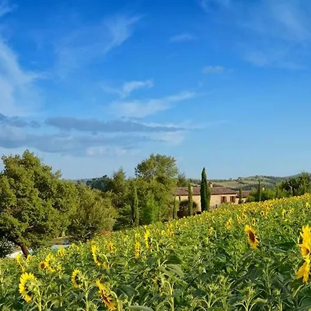 Il Mandorlo Fuer 8 Personen By Interhome Apartament San Venanzo