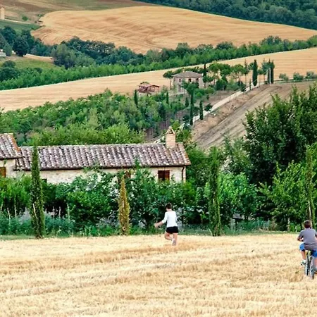 Il Mandorlo Fuer 8 Personen By Interhome Apartament San Venanzo