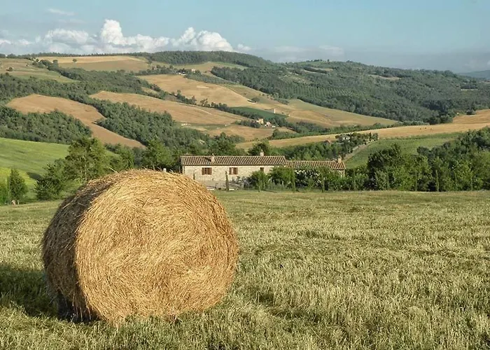 Apartment Il Mandorlo Fuer 8 Personen By Interhome