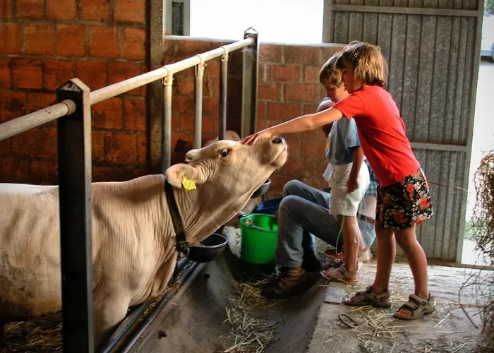 Il Mandorlo Fuer 8 Personen By Interhome Apartment San Venanzo