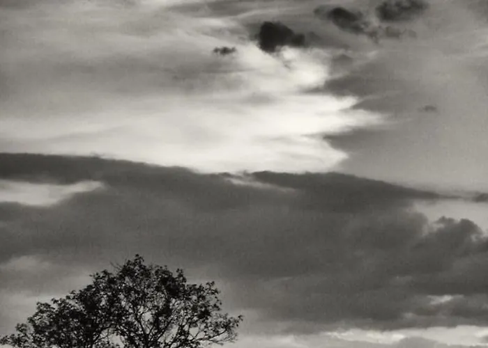 Apartment Il Mandorlo Fuer 8 Personen By Interhome *