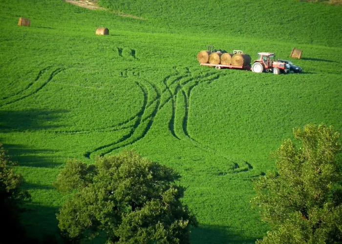 Apartment Il Mandorlo Fuer 8 Personen By Interhome *