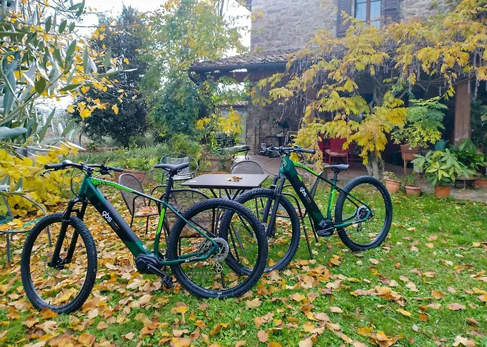 Apartment Il Mandorlo Fuer 8 Personen By Interhome