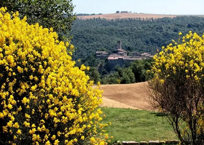 Apartment Il Mandorlo Fuer 8 Personen By Interhome San Venanzo