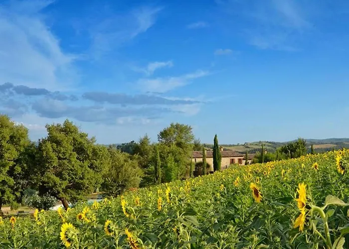 Il Mandorlo Fuer 8 Personen By Interhome Apartment San Venanzo