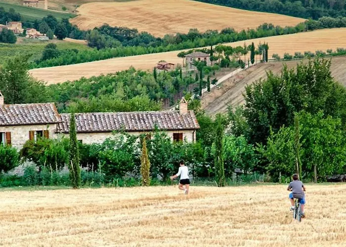 Il Mandorlo Fuer 8 Personen By Interhome Apartment San Venanzo