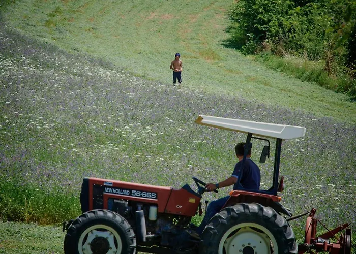 Il Mandorlo Fuer 8 Personen By Interhome *