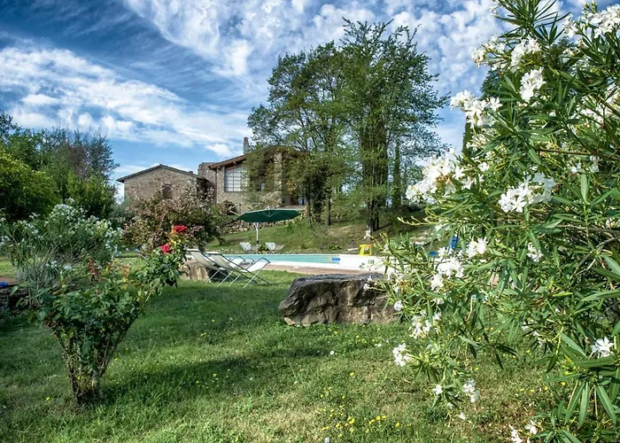 Il Mandorlo Fuer 8 Personen By Interhome Apartment San Venanzo